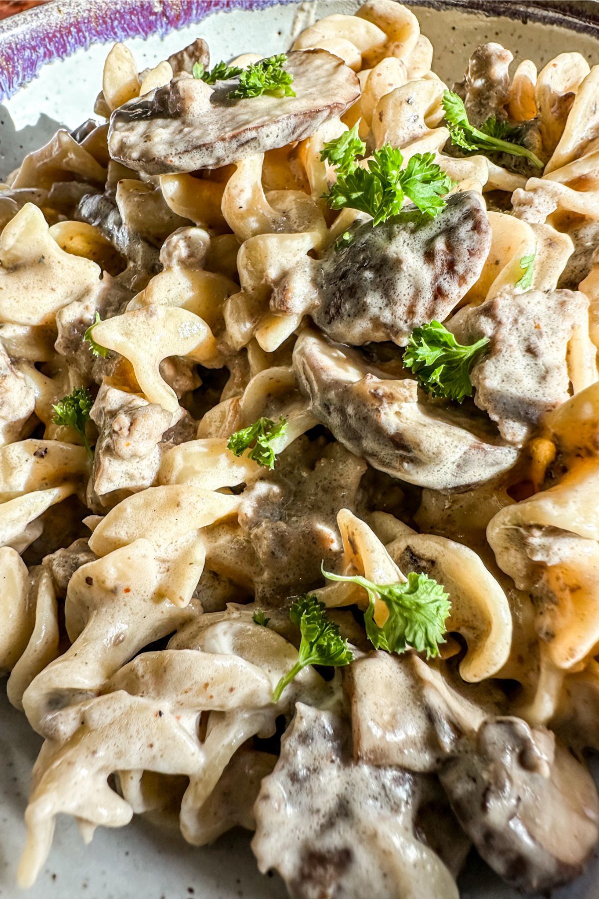 serving stroganoff in a bowl.