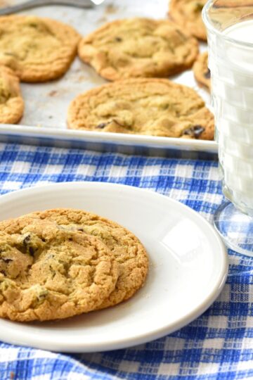 serving the sorghum-sorghum chocolate chip cookies to my party guests.