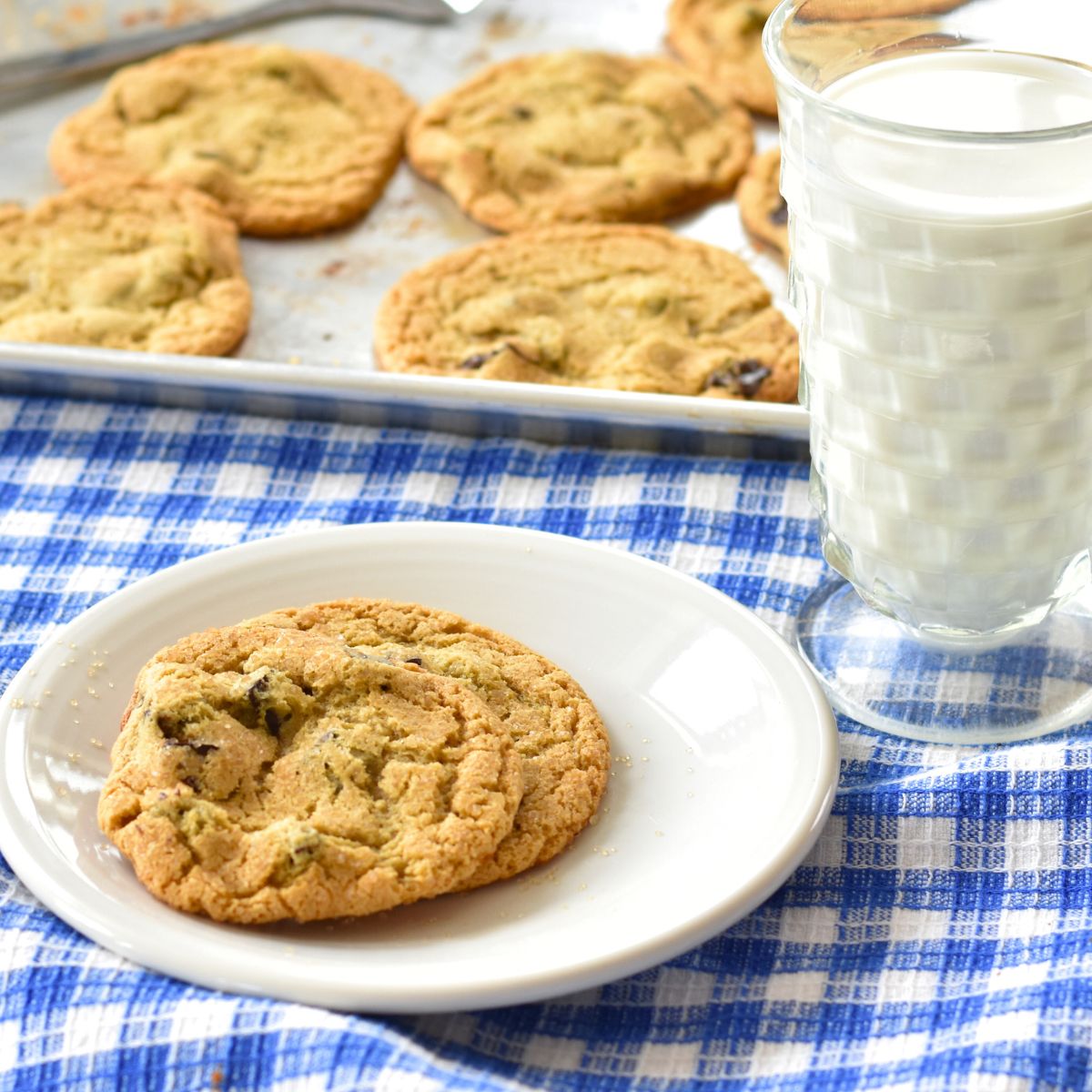 chocolate-chip-cookie-served-on-a-white-plate serving the sorghum-sorghum chocolate chip cookies to my party guests.
