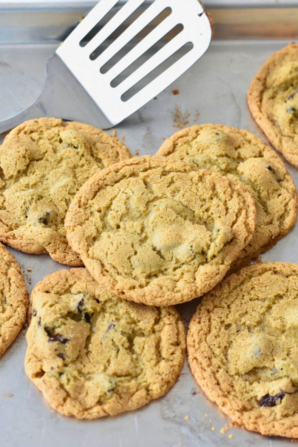 Golden-brown-cookies-fresh-out-of-the-oven Golden brown sorghum-sorghum chocolate chip cookies.