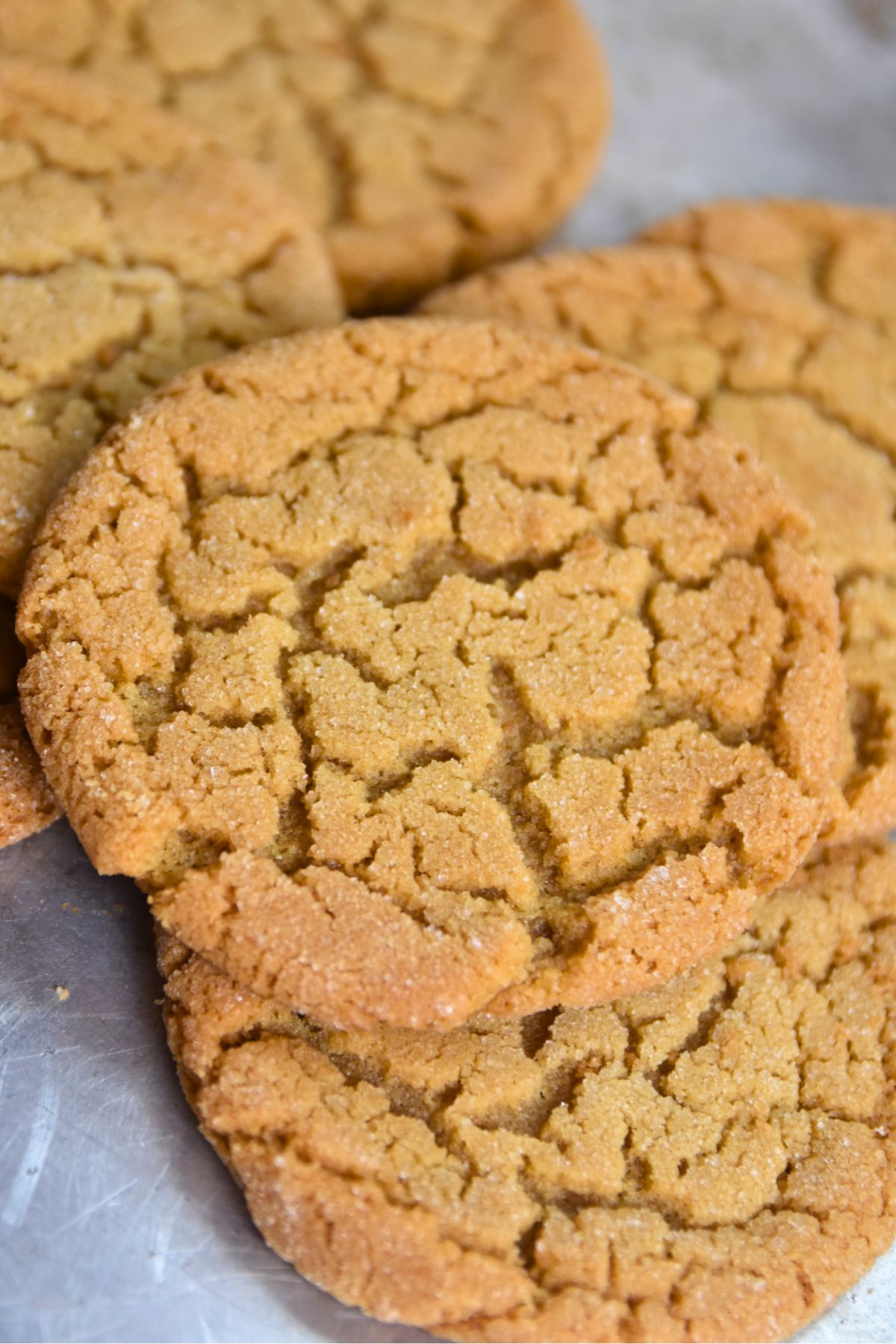 golden-brown-cookie-butter-cookies-served-to-guest Serving warm, cracked-top cookies.