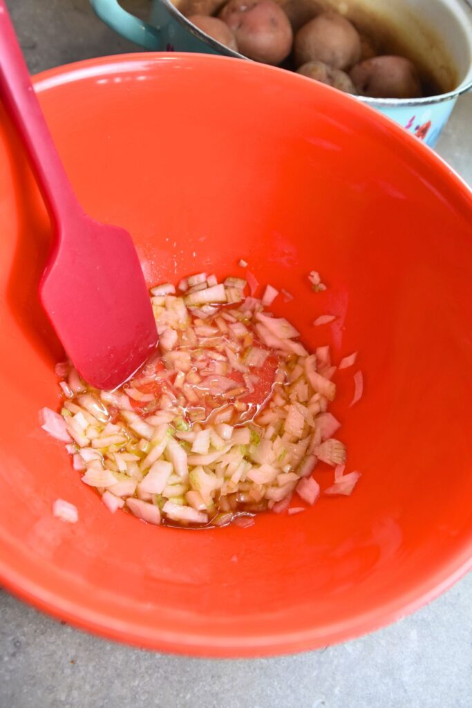 mixing-the-vinegar-and-onions-together Mix the vinegar and onions together in a bowl.