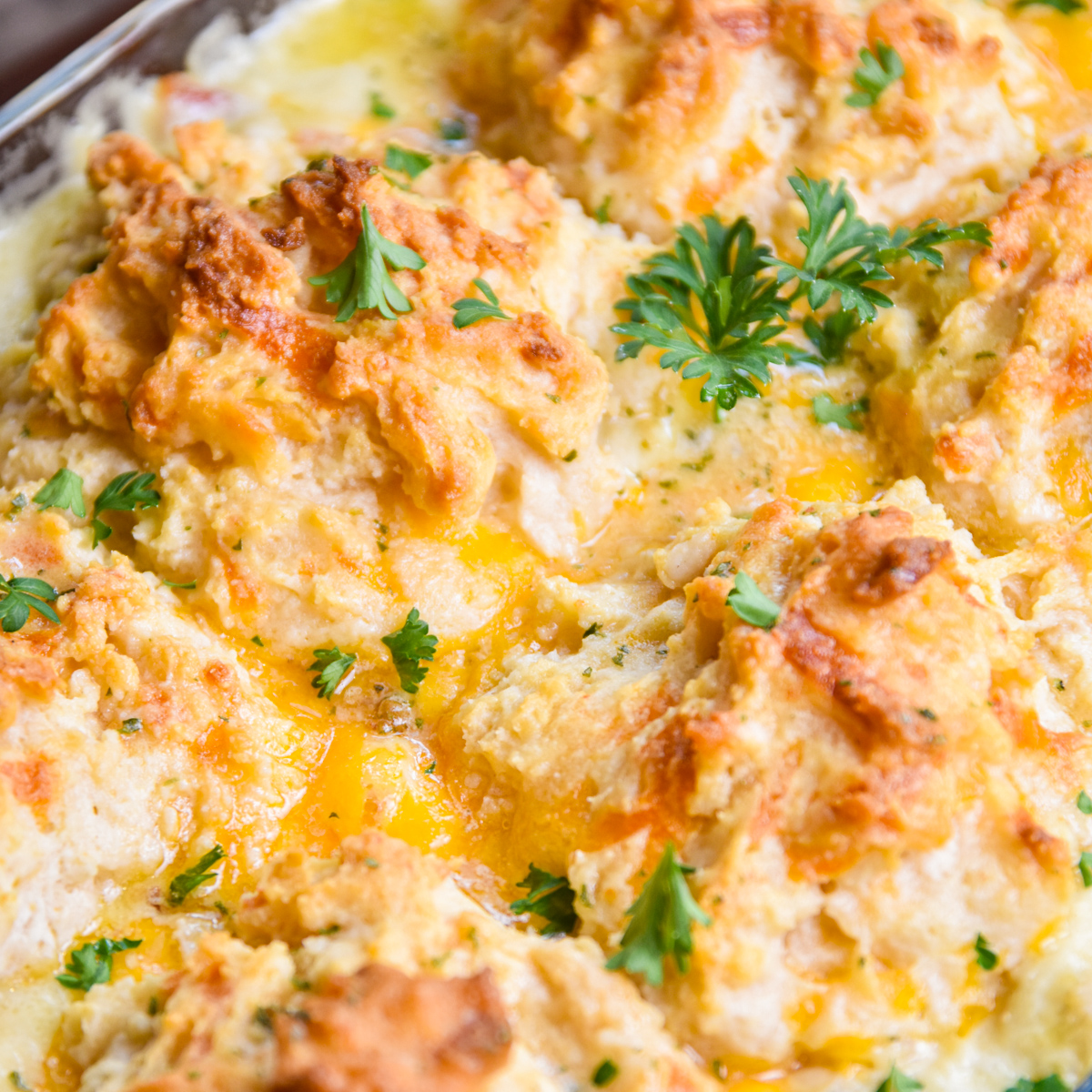 Close up of biscuits on chicken casserole.