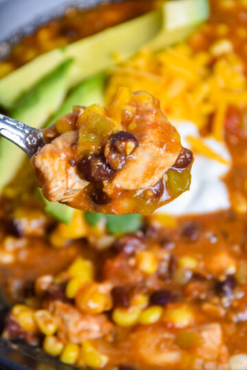 Spoonful of enchilada soup.