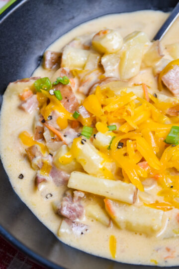 Bowl of cheesy ham and potato soup.