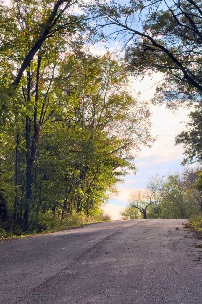 Tree's changing on a scenic drive.